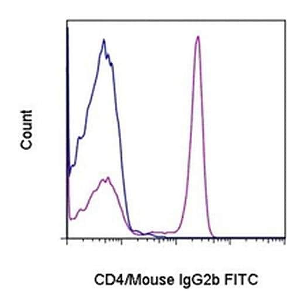 Thermo Fisher Scientific Rat anti-Mouse IgG2b Secondary Antibody, FITC, eBioscience