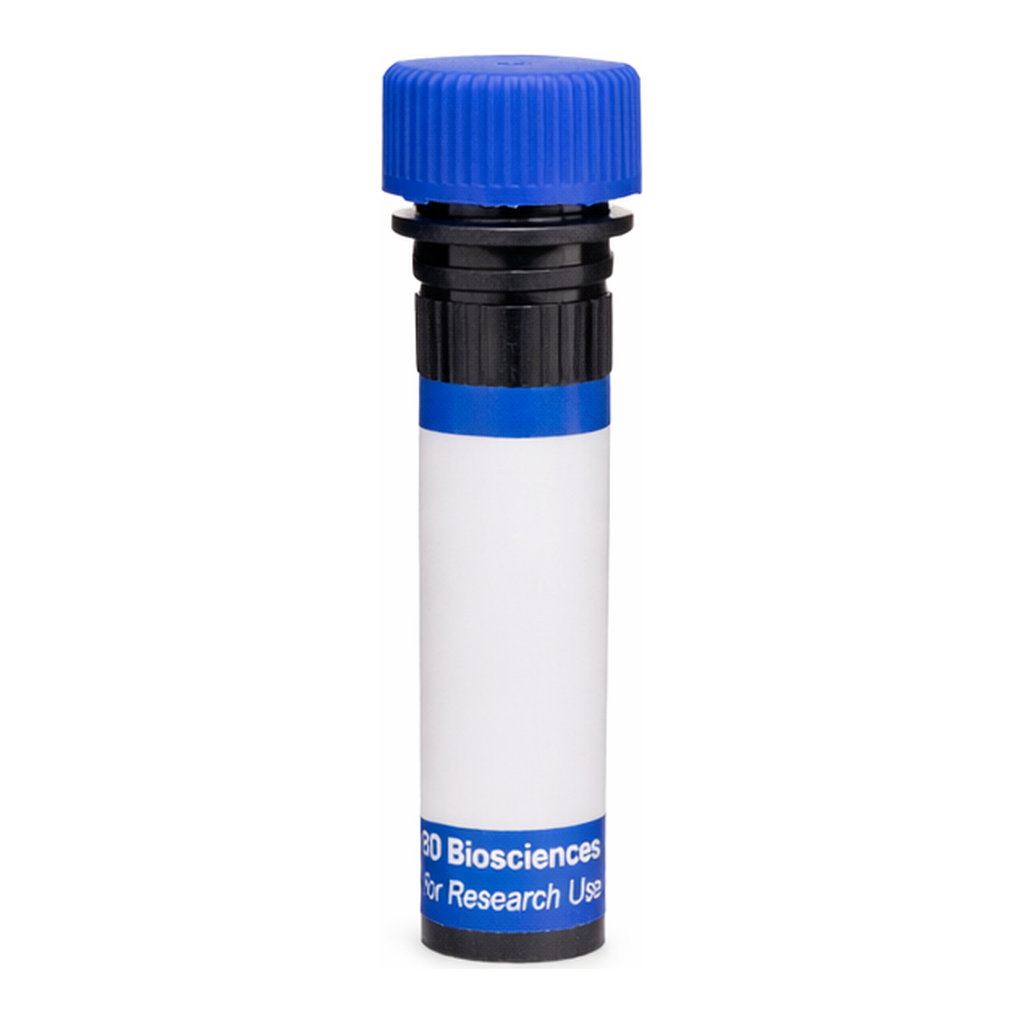 BD RB780 Rat Anti-Mouse Delta-Like Protein 1