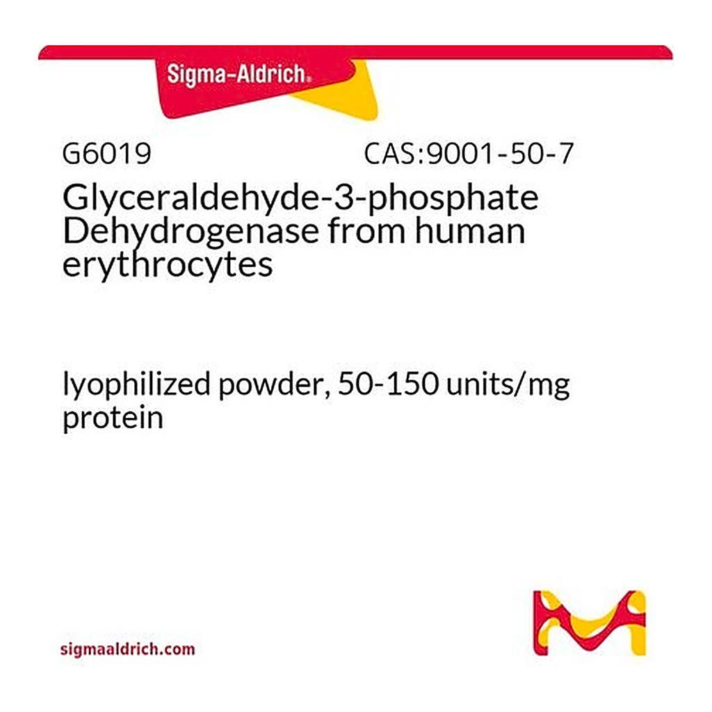 Merck Glyceraldehyde-3-phosphate Dehydrogenase from human erythrocytes