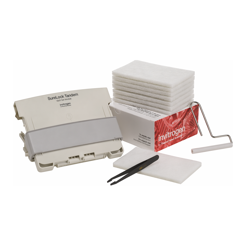 Thermo Fisher Scientific SureLock Tandem Midi Blot Module
