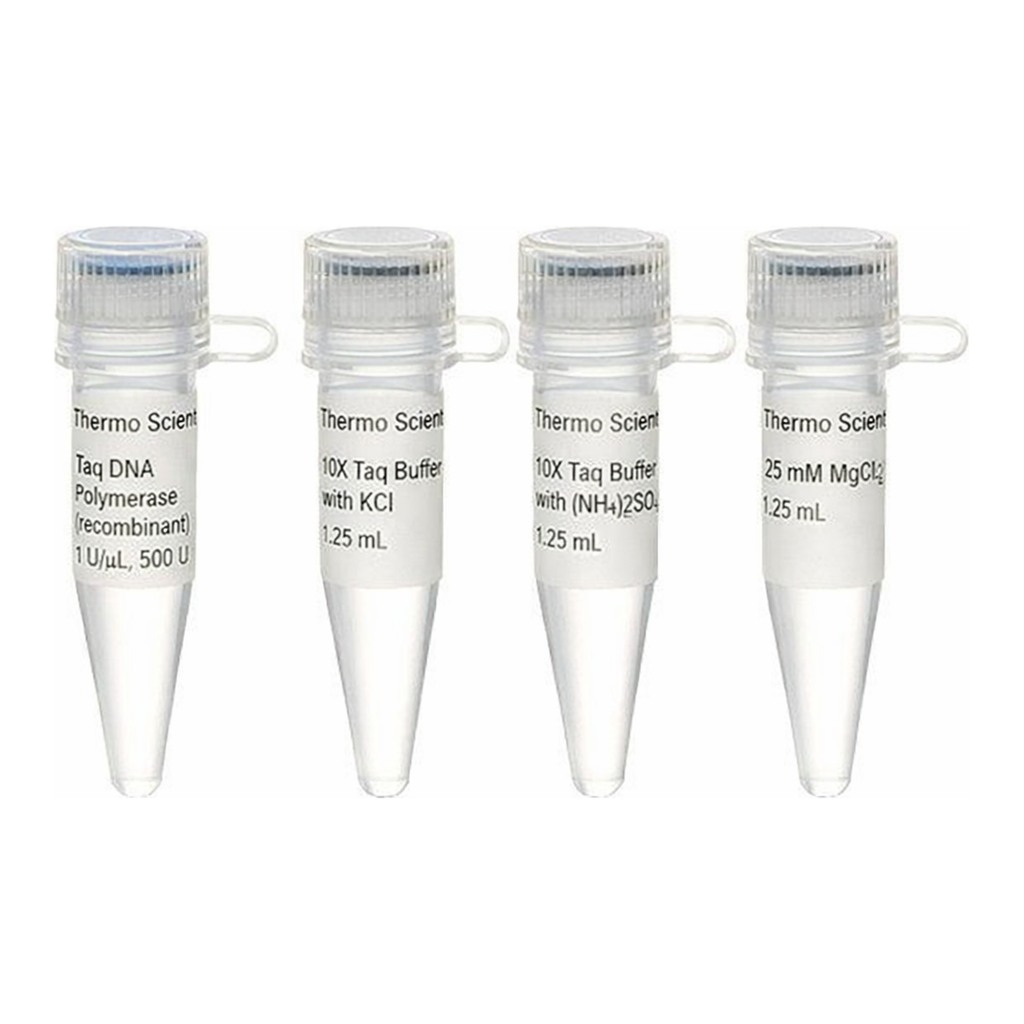 Thermo Fisher Scientific Taq DNA Polymerase, recombinant (1 U/μL)