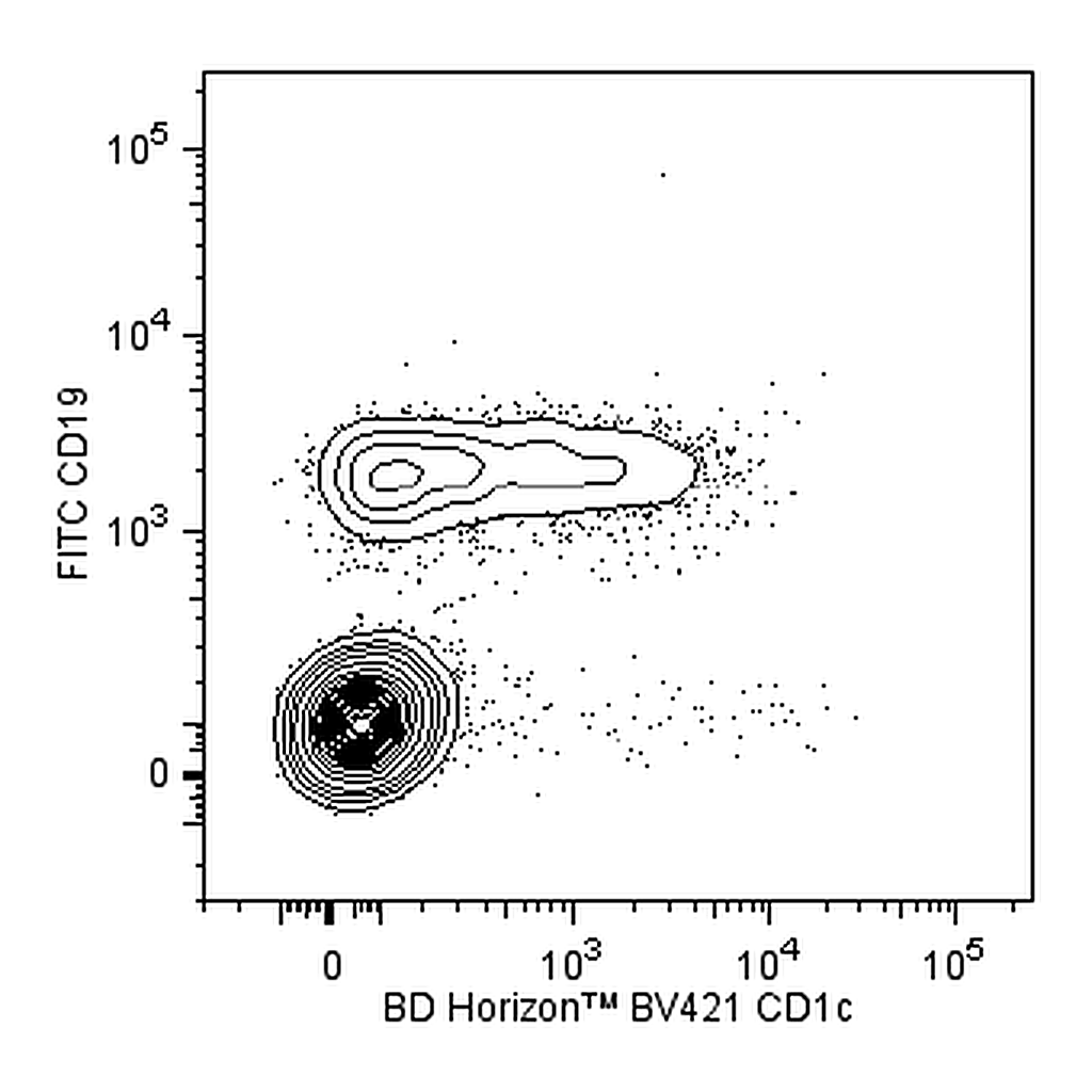 BD BV421 Mouse Anti-Human CD1c