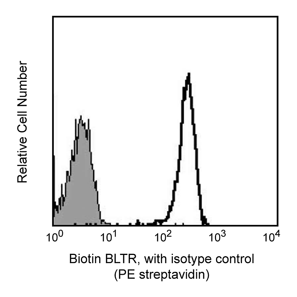 BD Biotin Mouse Anti-Human BLTR-1(Leukotriene B4 Receptor)