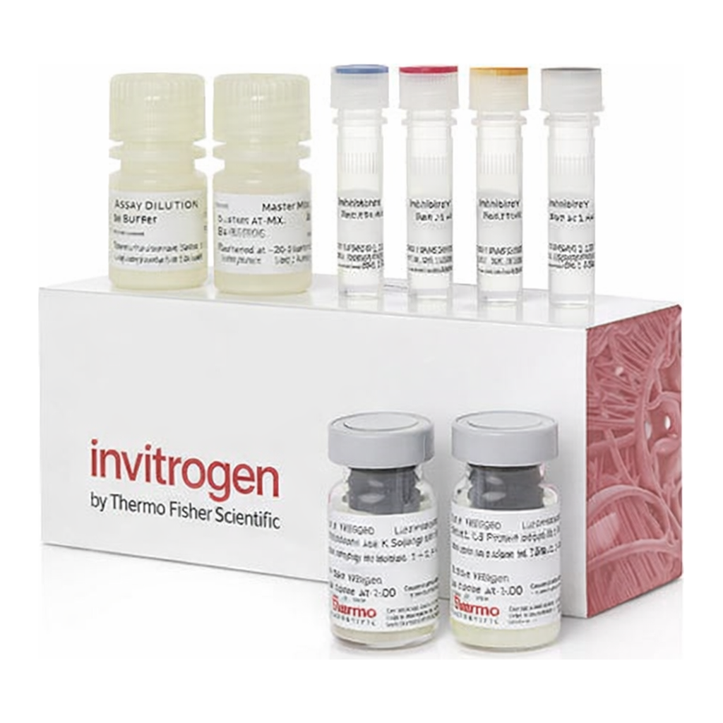 Thermo Fisher Scientific Mouse IL-22 ProQuantum Immunoassay Kit