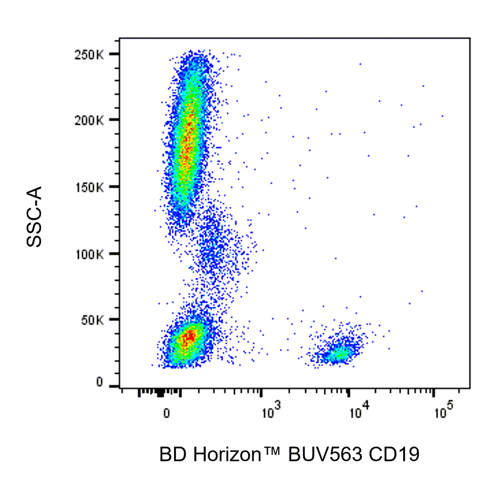 BD BUV563 Mouse Anti-Human CD19