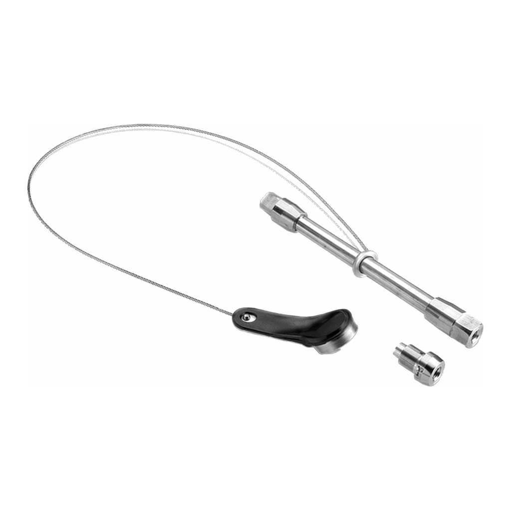 Waters BioResolve SCX mAb Column with VanGuard FIT, 3 µm, 4.6 mm x 50 mm, 1/pk with mAb Charge Variant Standard