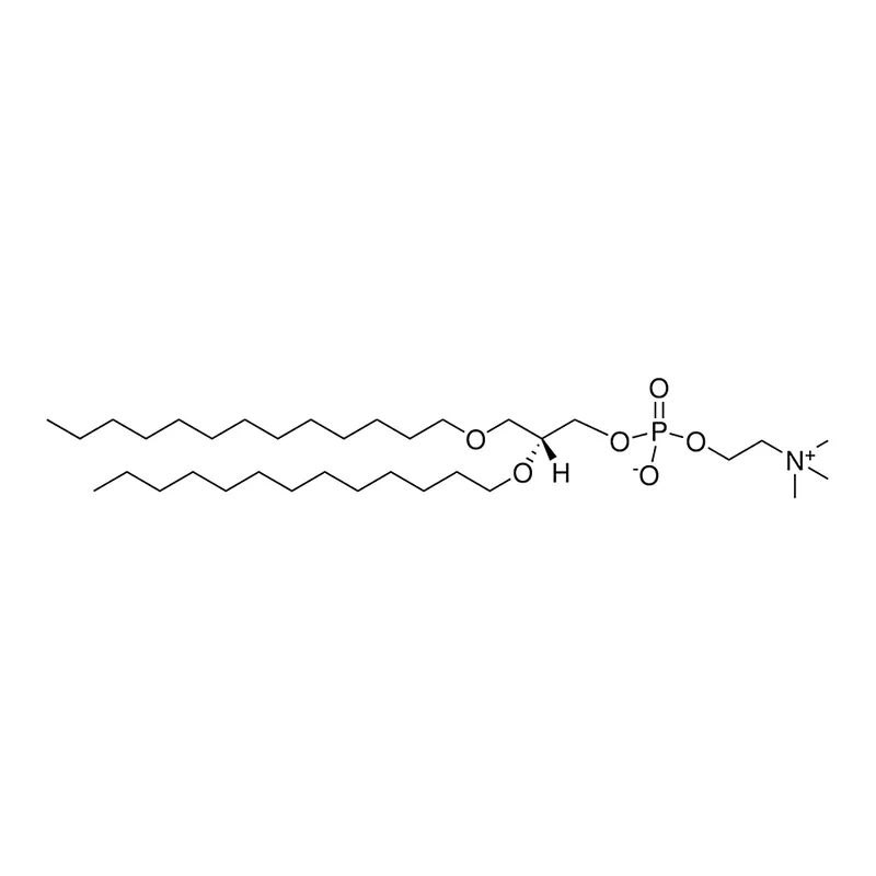 Merck 13:0 Diether PC