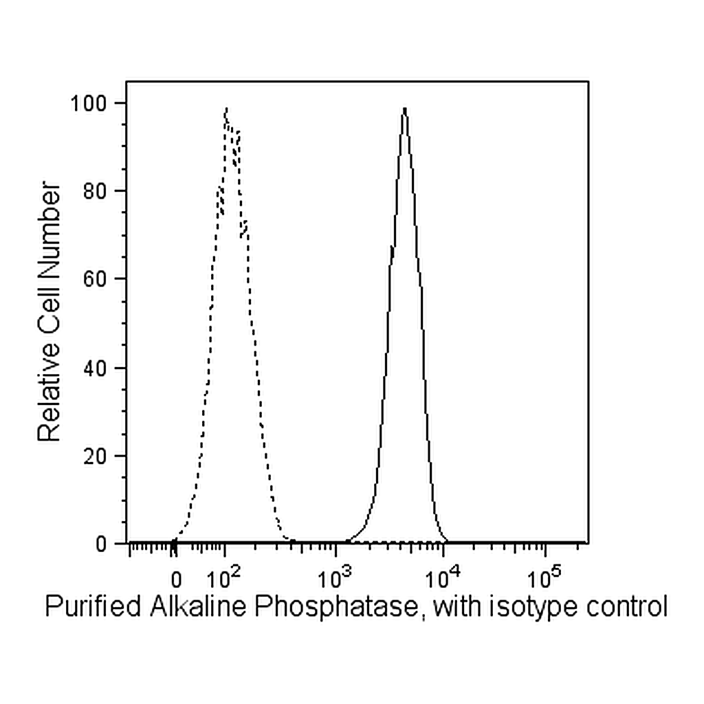 BD Purified Mouse anti-Human Alkaline Phosphatase