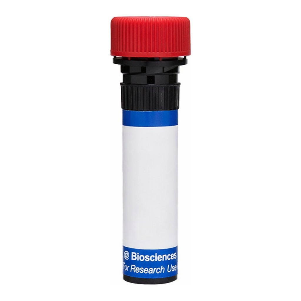 BD RB670 Mouse Anti-Human Chondroitin Sulfate (NG2)