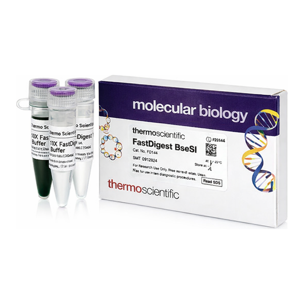 Thermo Fisher Scientific FastDigest BseSI