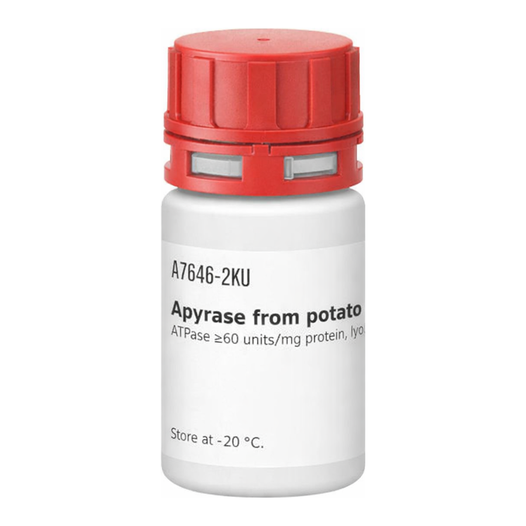 Merck APYRASE FROM POTATOES, ATPASE 60-200 UN