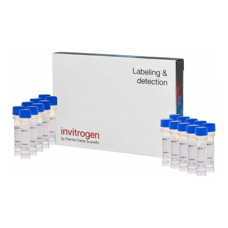 Thermo Fisher Scientific Fura-2, AM, FluoroPure grade - Special Packaging