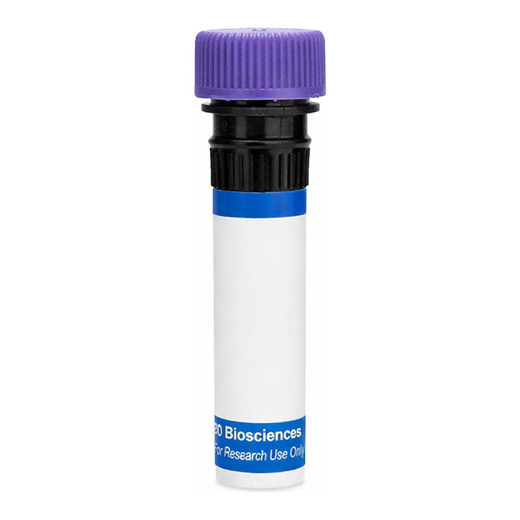 BD RB744 Mouse Anti-Integrin α7 (ITGA7)