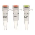 Thermo Fisher Scientific Eco91I (BstEII) (10 U/μL), 1,000 units