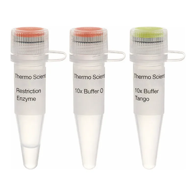 Thermo Fisher Scientific Eco91I (BstEII) (10 U/μL), 1,000 units
