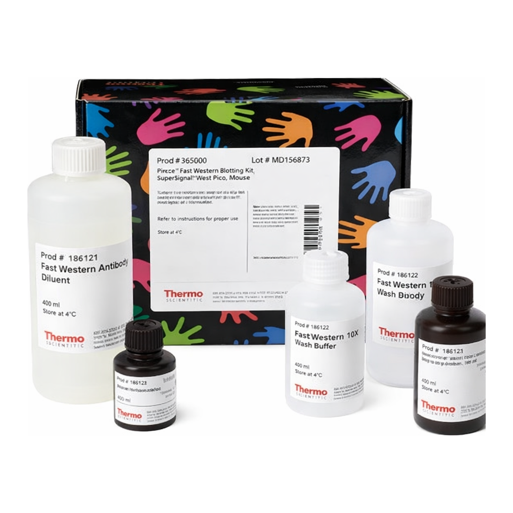 Thermo Fisher Scientific Pierce Fast Western Kit, SuperSignal West Pico, Mouse, 800 mL