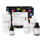 Thermo Fisher Scientific Pierce Fast Western Kit, SuperSignal West Pico, Mouse, 800 mL