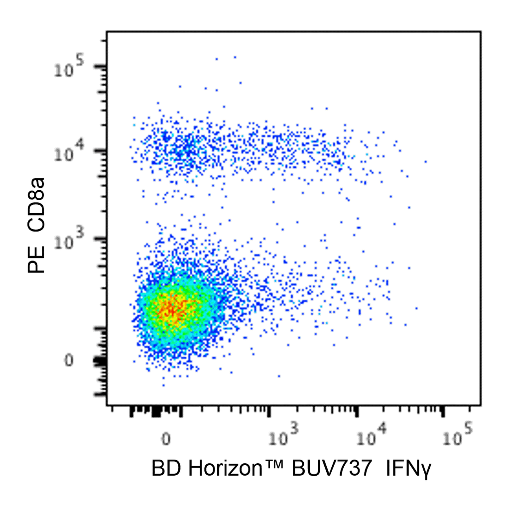 BD BUV737 Rat Anti-Mouse IFN-γ
