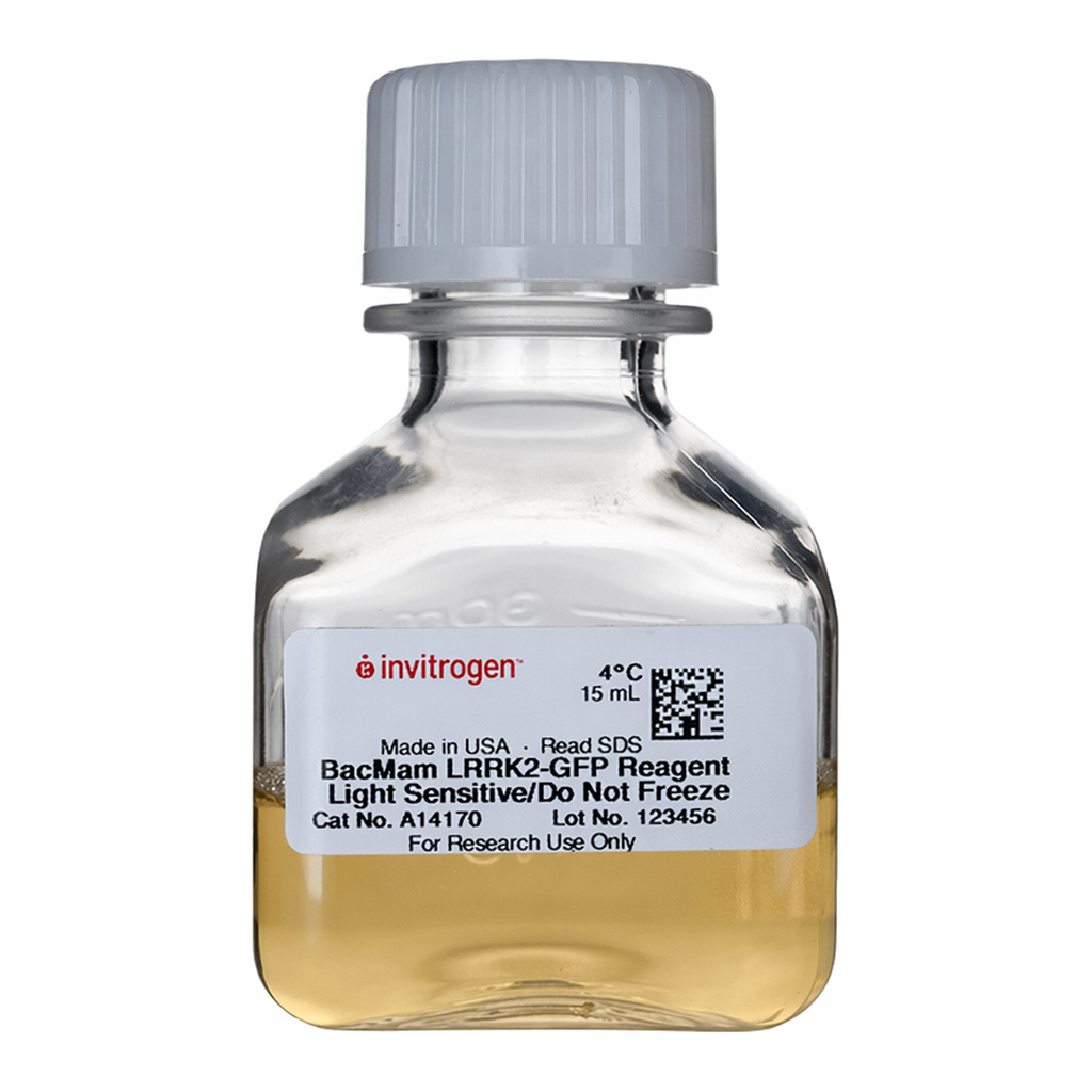 Thermo Fisher Scientific BacMam LRRK2-GFP Wild Type Reagent