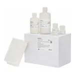 Thermo Fisher Scientific MagMAX Microbiome Ultra Nucleic Acid Isolation Kit, with bead plate