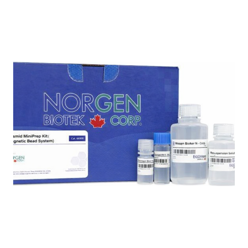 Norgen Plasmid MiniPrep Kit (Magnetic Bead System)
