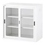 AS ONE Chemical-Resistant Double Sliding Storehouse (White Color) Glass Door