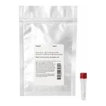 Thermo Fisher Scientific DyLight 650 NHS Ester, 1 mg