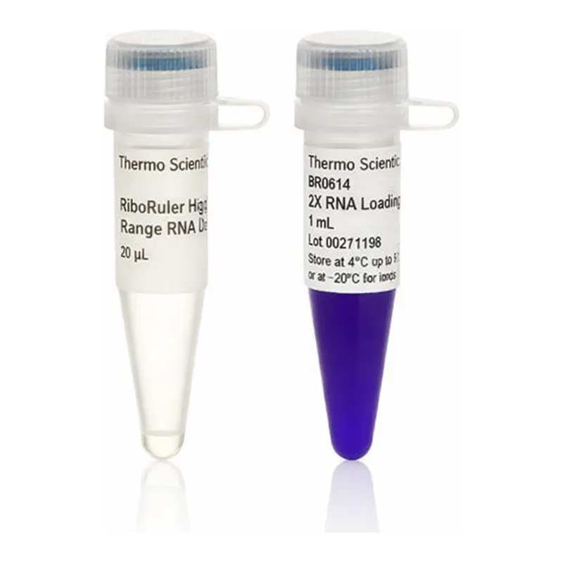 Thermo Fisher Scientific RiboRuler High Range RNA Ladder