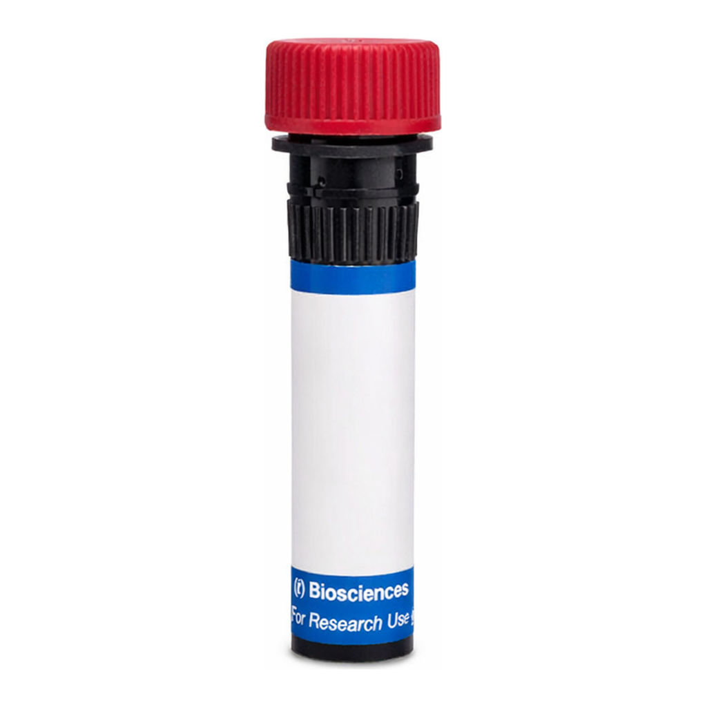 BD RB670 Rat Anti-Mouse CD25 (IL-2 Receptor α)