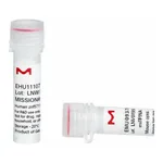 Merck MISSION(R) esiRNA