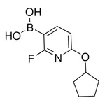 Merck 6-(Cyclopentyloxy)-2-fluoropyridine-3-boronic acid