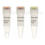 Thermo Fisher Scientific Acc65I (Asp718I) (10 U/μL), 1,000 units