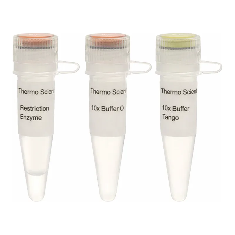 Thermo Fisher Scientific Acc65I (Asp718I) (10 U/μL), 1,000 units