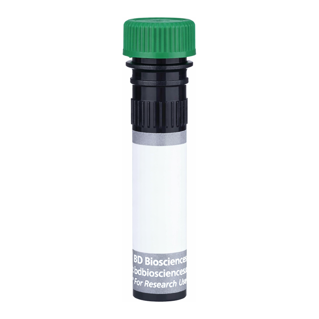 BD BUV563 Mouse Anti-Human EGF Receptor