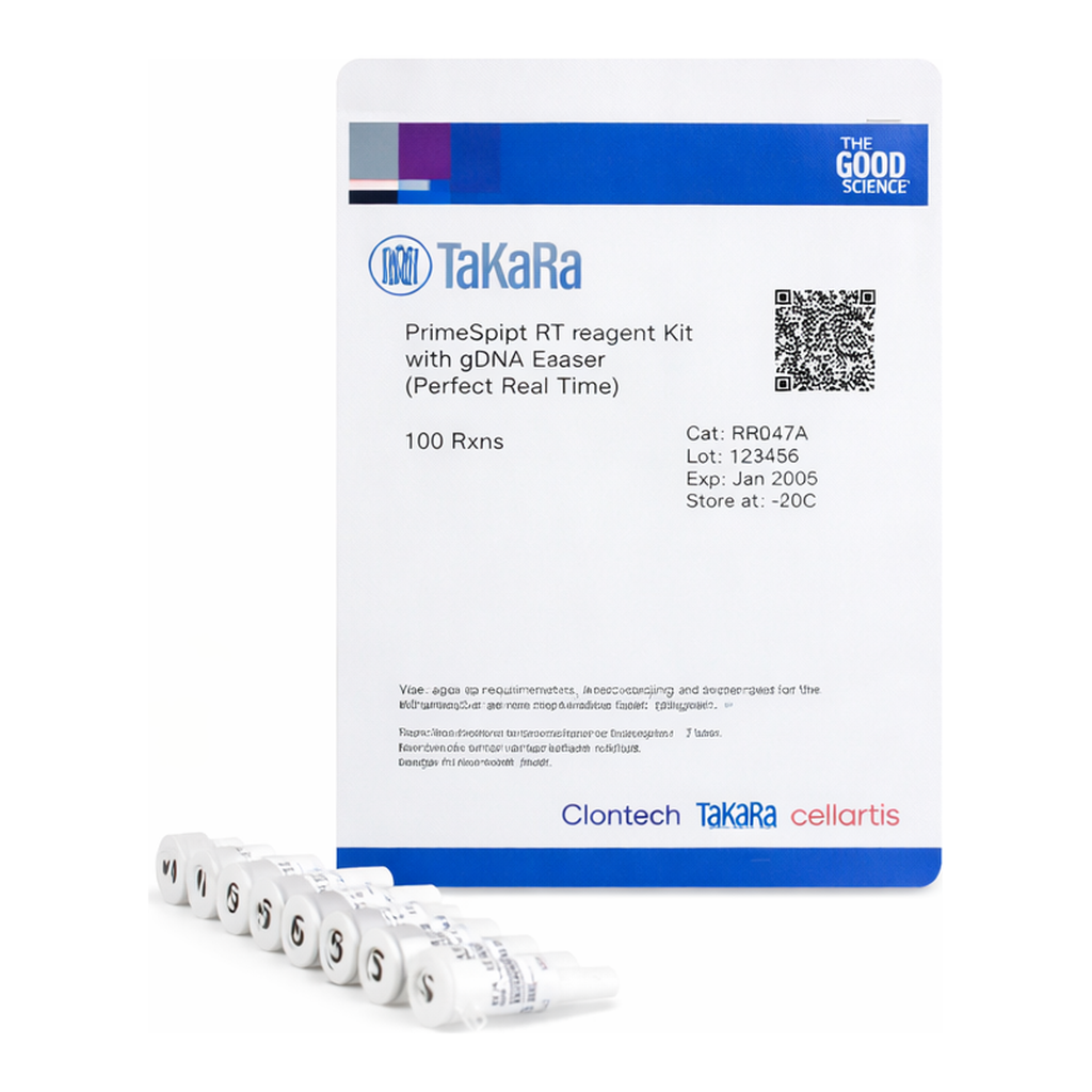 Takara PrimeScript RT Reagent Kit with gDNA Eraser (Perfect Real Time): Eliminate genomic DNA contamination
