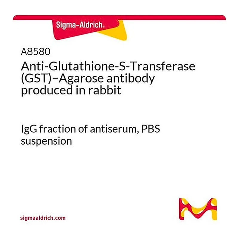 Merck Anti-Glutathione-S-Transferase (GST)-Agarose antibody produced in rabbit