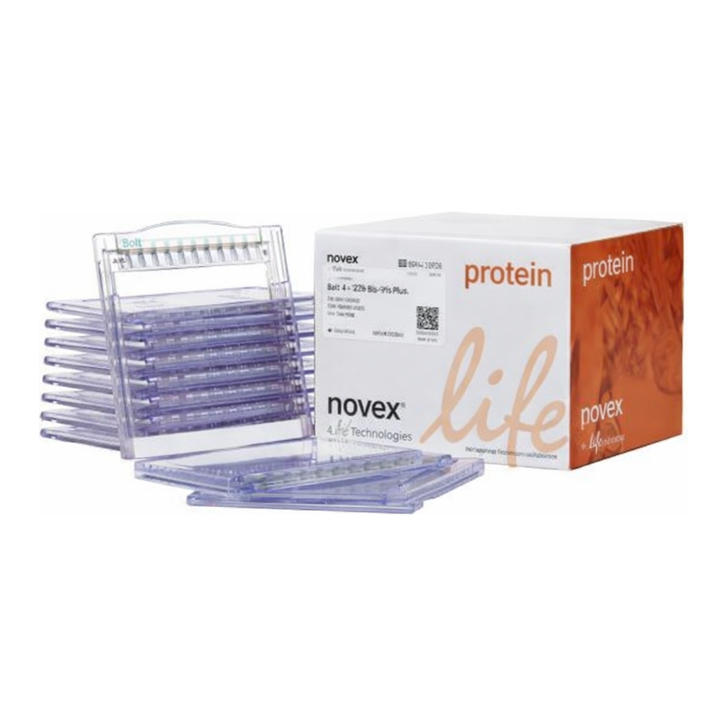 Thermo Fisher Scientific Bolt Bis-Tris Plus Mini Protein Gels, 8%, 1.0 mm, WedgeWell format, 10 gels (1 box)