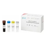 Intron e-Myco™ VALiD-Q Mycoplasma qPCR Detection Kit