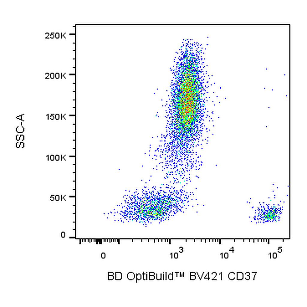 BD BV421 Mouse Anti-Human CD37