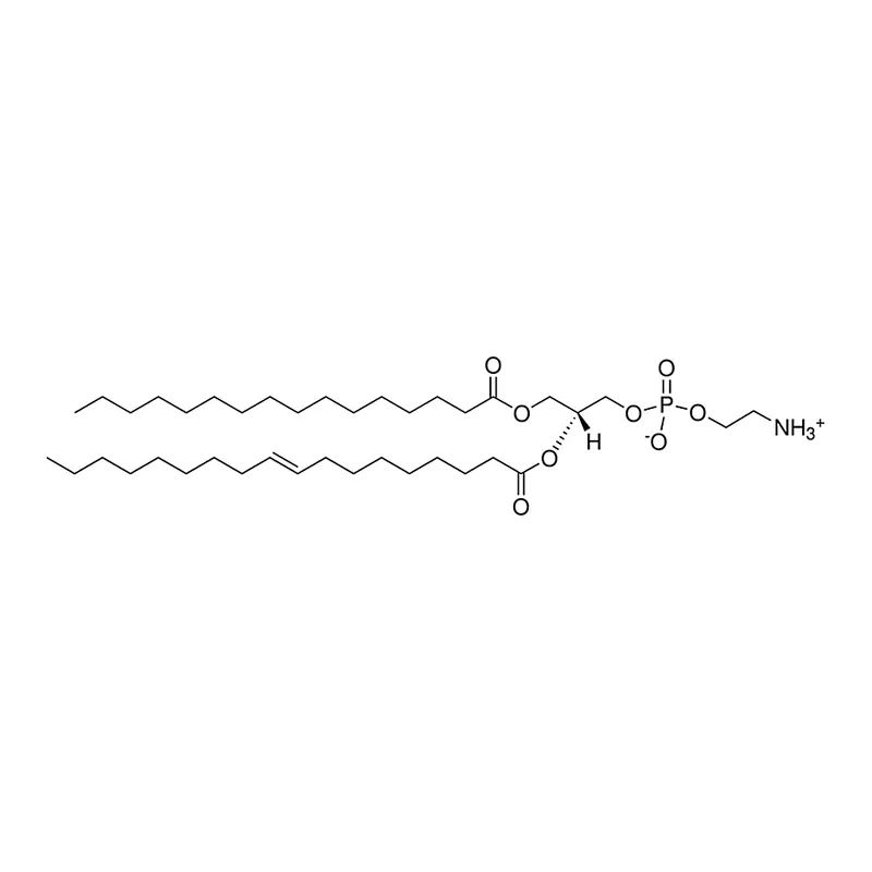 Merck E. coli PE