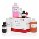 Thermo Fisher Scientific SilverQuest Silver Staining Kit