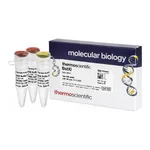 Thermo Fisher Scientific BstXI (10 U/μL), 500 units