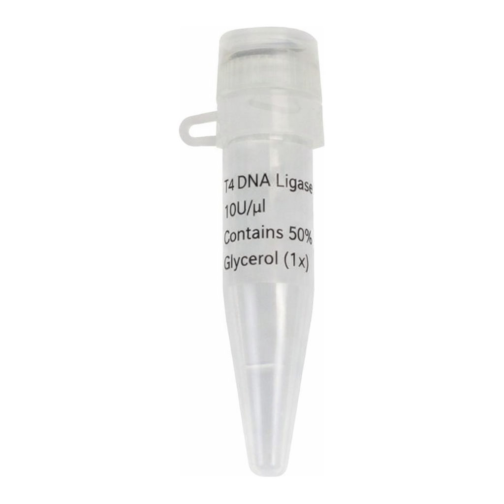 Thermo Fisher Scientific Bovine Serum Albumin (BSA)