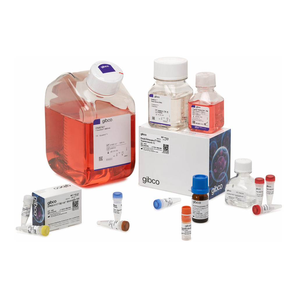 Thermo Fisher Scientific Expi293 Inducible GnTI- Expression System Kit