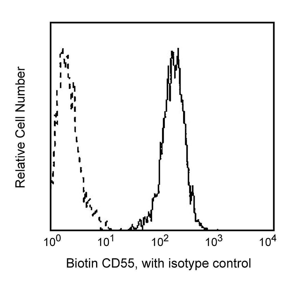BD Biotin Mouse Anti-Human CD55
