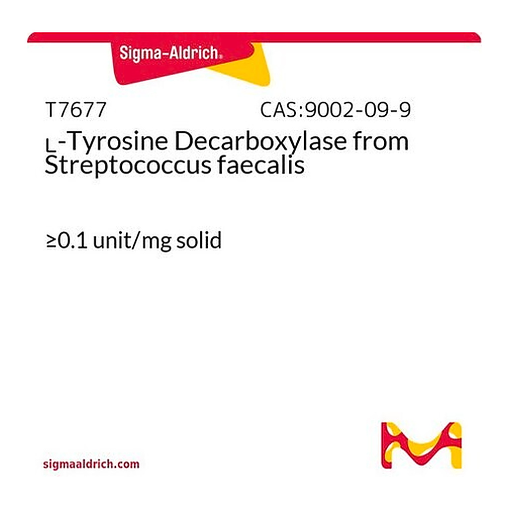 Merck L-Tyrosine Decarboxylase from Streptococcus faecalis