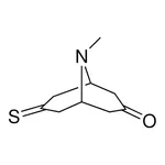 Merck 9-METHYL-7-THIOXO-9-AZABICYCLO[-