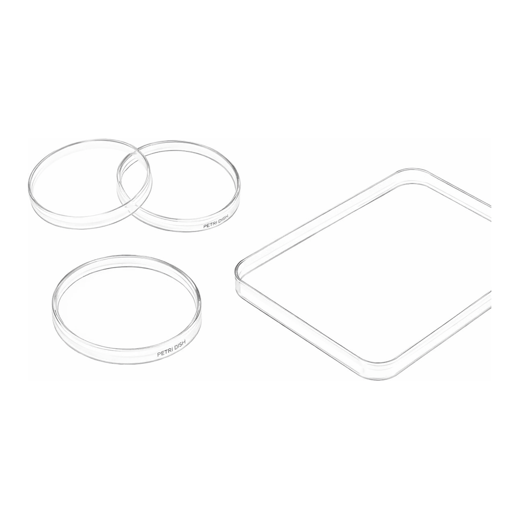 Merck Greiner dishes