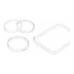 Merck Greiner dishes