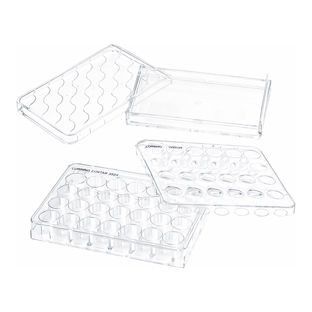 Merck Corning HTS Transwell-24 well permeable supports